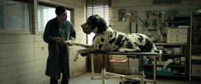 Dogman