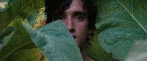Happy as Lazzaro